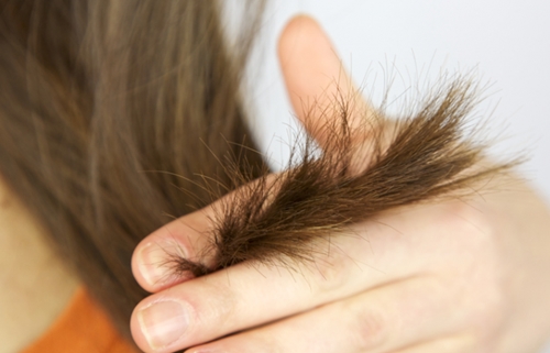 3 phương pháp phục hồi tóc chẻ ngọn bằng thiên nhiên hiệu quả
